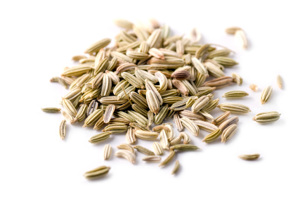 fennel seed